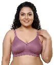 PUPLE.webp