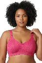 CORAL.webp