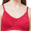 Antriq Womens Non-Wired Non Padded Net Bra