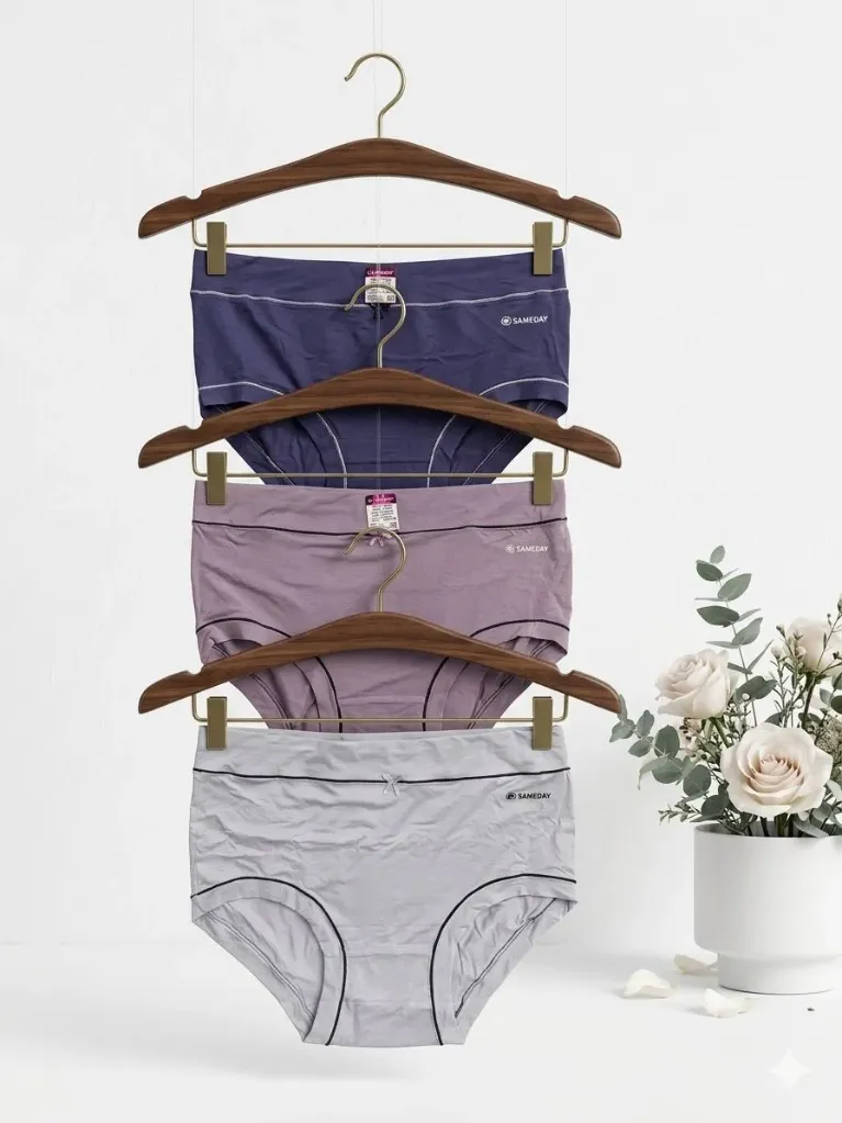 Women's Modal Stretch Hipster with Anti Microbial Finish (M)